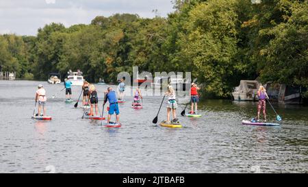 Eine Gruppe von Paddelfahrern paddelt an einem hellen Sommertag entlang der Themse in surrey Stockfoto