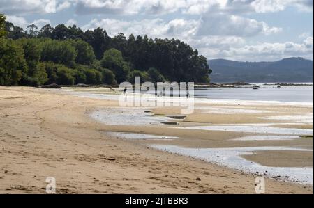 Allgemeine Ansicht des Strandes in Boiro, Pontevedra. Im Hintergrund spielt eine Frau mit zwei Hunden und einem Muschelfischer und zwei Muschelfrauinnen Kopf Stockfoto