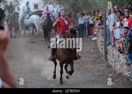 Das jährliche Carrera de Cintas a Caballo während der Sommerferia von Comares Pueblo, Axarquia, Málaga, Andalusien, Spanien Stockfoto