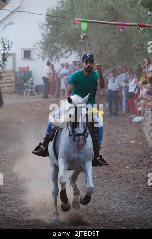 Das jährliche Carrera de Cintas a Caballo während der Sommerferia von Comares Pueblo, Axarquia, Málaga, Andalusien, Spanien Stockfoto