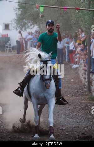 Das jährliche Carrera de Cintas a Caballo während der Sommerferia von Comares Pueblo, Axarquia, Málaga, Andalusien, Spanien Stockfoto