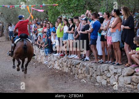 Das jährliche Carrera de Cintas a Caballo während der Sommerferia von Comares Pueblo, Axarquia, Málaga, Andalusien, Spanien Stockfoto