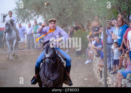 Das jährliche Carrera de Cintas a Caballo während der Sommerferia von Comares Pueblo, Axarquia, Málaga, Andalusien, Spanien Stockfoto