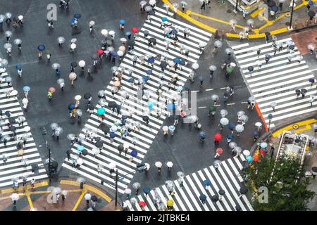 Fußgänger mit Regenschirmen überqueren die multidirektionale Kreuzung, die als Shibuya Crossing in Shibuya ward, Tokio, Japan, bekannt ist. Die Kreuzung gilt als die verkehrsreichste Fußgängerkreuzung der Welt. Stockfoto
