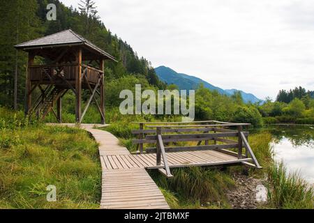 Aussichtsplattform und Turm im Naturschutzgebiet Zelenci in der Nähe von Kranjska Gora im Nordwesten Sloweniens. Es ist ein geschütztes Feuchtgebiet Stockfoto