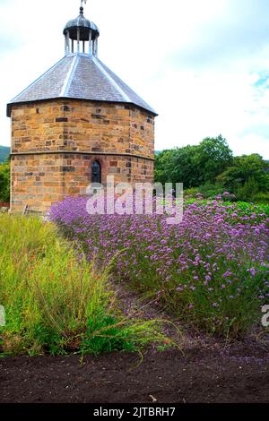 Die alte Taube im Augustiner-Priorat aus dem 14.. Jahrhundert in Guisborough mit kommerziell angebauten Blumen davor Stockfoto