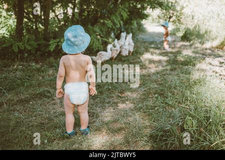 Kinder begleiten die Enten zum Fluss. Kinder weiden im Sommer ein Geflügel im Dorf. Stockfoto