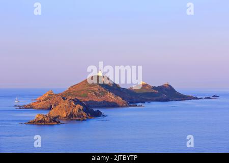 Die Iles Sanguinaires (Isles Sanguinaires) in der Nähe von Ajacio (Corse-du-Sud) auf der Insel Korsika, Frankreich Stockfoto