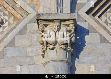 Statuen von Affen, die eine Säule des schiefen Turms von Pisa (UNESCO-Weltkulturerbe) im romanischen Stil in Pisa (Toskana) schmücken Stockfoto