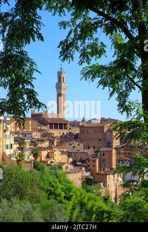 Der Palazzo Pubblico (Rathaus) aus dem 14.. Jahrhundert in Siena (Toskana), Italien an einem schönen Sommertag Stockfoto