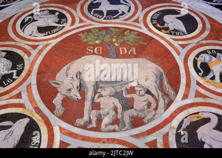 Der Kapitolinische Wolf nimmt Romulus und Remus auf einem Bodenmosaik in der Kathedrale von Siena (UNESCO-Weltkulturerbe) in Siena (Toskana), Italien Stockfoto