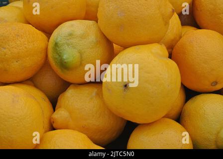 Ein paar frische Zitronen, Bauernmarkt, frisch gepflücktes Obst, Zitrusfrüchte Stockfoto