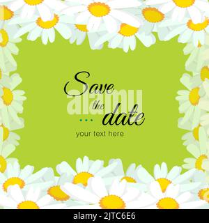 Weiße Kamille oder Gänseblümchen Rahmen auf grünem Hintergrund. Frühlingsblumen Rahmen Zusammensetzung. Helle Frühling Hintergrund-Design. Stock Vektor