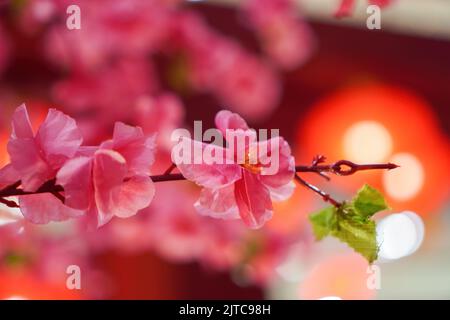 Eine Nahaufnahme einer gefälschten rosa Blütenpflaumenblume für eine chinesische Neujahrsdekoration Stockfoto