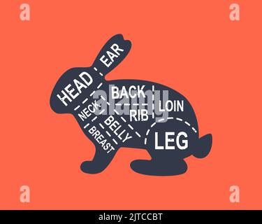 Hasendiagrammschnitte. Poster mit Metzgerschemata. Fleischstücke von Kaninchen. Abbildung des Fleischdiagramms. Silhouette von Nutztieren. Stock Vektor