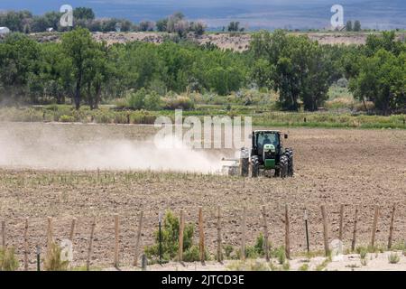 Olathe, Colorado - Ein Landwirt zieht eine Egge, um ein trockenes Farmfeld im Westen Colorados zu bewirtschaften. Stockfoto