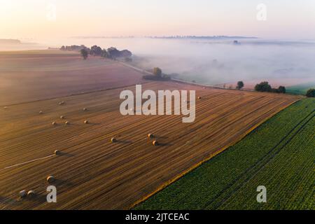 VogelBlick auf grüne und goldene Felder mit Heuballen und Bäumen. Sonnenaufgang über nebliger Landschaft in Roztocze Polen. Horizontale Aufnahme. Hochwertige Fotos Stockfoto