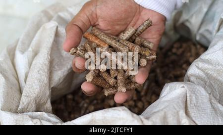 Hand eines erwachsenen Mannes, der ein Holzpellet hält Stockfoto