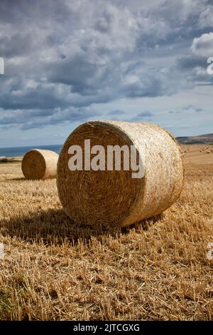 Stroh hale ballen auf einem Feld von Staithes in North Yorkshire Stockfoto