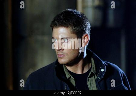 JENSEN ACKLES, SUPERNATURAL : SAISON 3, 2007 Stockfoto