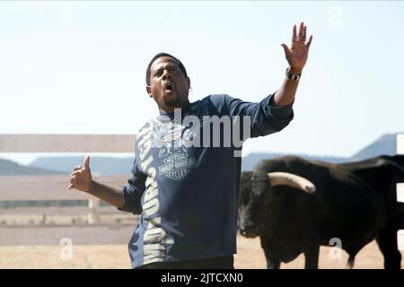 MARTIN LAWRENCE, WILDSCHWEINE, 2007 Stockfoto