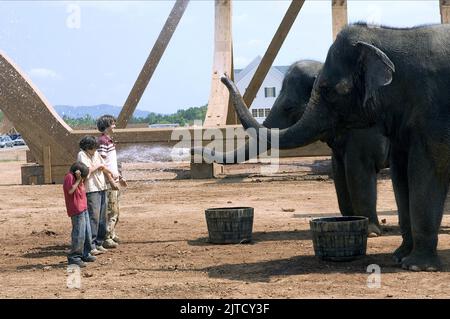 JIMMY Bennett, Graham Phillips, JOHNNY SIMMONS, Elefanten, Evan Almighty, 2007 Stockfoto