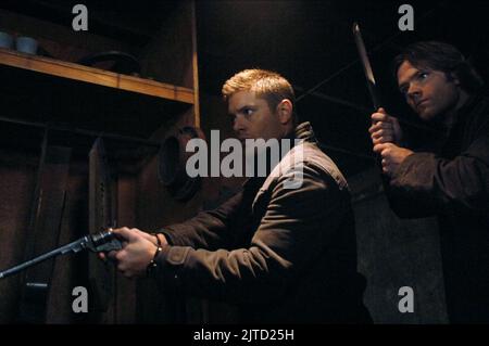 JENSEN ACKLES, Jared Padalecki, übernatürliche: Saison 3, 2007 Stockfoto