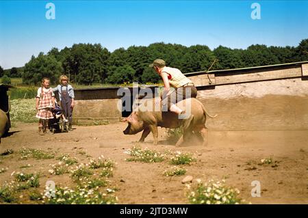 MANNHARDT, SEIDEL, KAUCHER, HÄNDE WEG VON MISSISSIPPI, 2007 Stockfoto