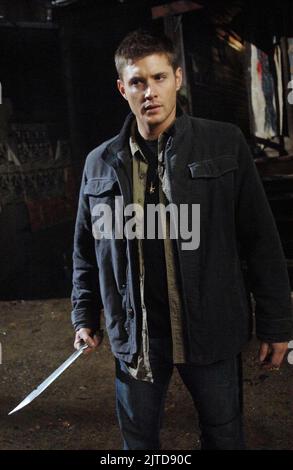 JENSEN ACKLES, SUPERNATURAL : SAISON 3, 2007 Stockfoto