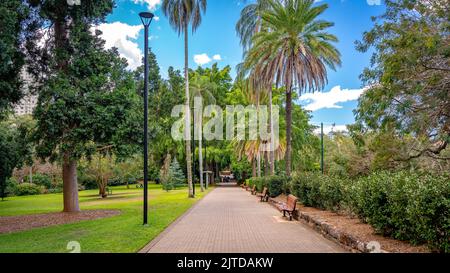 Botanischer Garten in Brisbane, Queensland, Australien Stockfoto