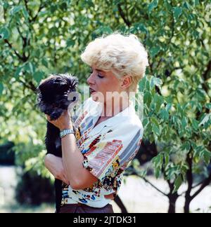 Ingrid Steeger, deutsche Schauspielerin, hier mit ihr geliebten Rauhaardackel, Deutschland, 1983. Ingrid Steeger, deutsche Schauspielerin, hier mit ihrem geliebten rauhaarigen Dackel, Deutschland, 1983. Stockfoto