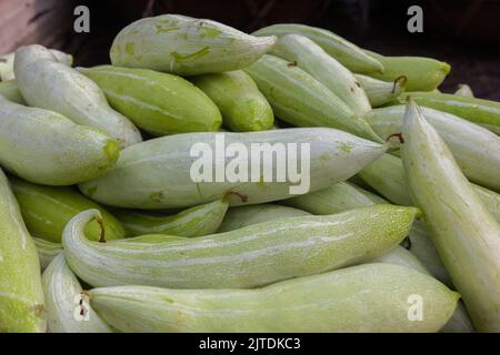 Gemüse ist eine der Haupteinnahmequellen für bangladeschische Landwirte. Früher war es nur für den Konsum der Haushalte, aber jetzt werden Cash Crops. Stockfoto