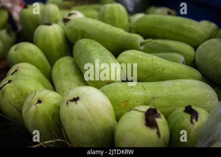 Gemüse ist eine der Haupteinnahmequellen für bangladeschische Landwirte. Früher war es nur für den Konsum der Haushalte, aber jetzt werden Cash Crops. Stockfoto