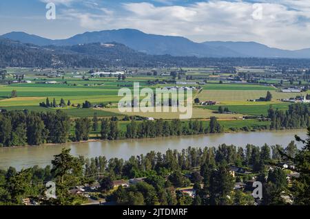 Blick auf das Fraser Valley in der Nähe von Abbotsford BC. Sommer im Fraser Valley. Kanadisches Gehöft. Ländliche landwirtschaftliche Flächen. Der Frazier River ist ein Import Stockfoto