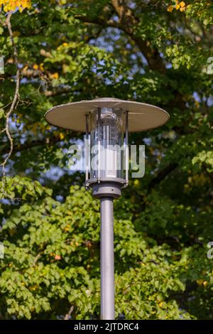 Straßenleuchte mit LED-Licht vor grünem Hintergrund, Deutschland Stockfoto