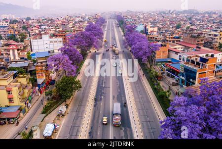 28.. April 2022. Kathmandu, Nepal. Wunderschöne Blüte eines Jacaranda-Baumes in der Straße des Kathmandu-Tals. Stockfoto