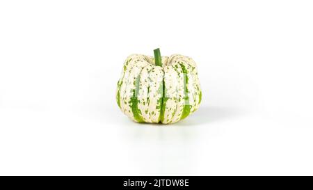 Sweet Knödel dekorativen Squash isoliert auf weißem Hintergrund. Kleiner weißer Kürbis mit grünen Streifen Foto mit Kopierplatz. Stockfoto