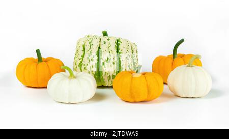 Süßer Knödel, Babyboo und kleiner oranger dekorativer Squash auf weißem Hintergrund isoliert. Komposition aus kleinen dekorativen Kürbissen für Halloween-Dekor Stockfoto