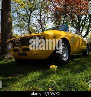 Ein gelber Alfa Romeo GTA wird in Bicester Heritage, Oxfordshire ausgestellt. Stockfoto