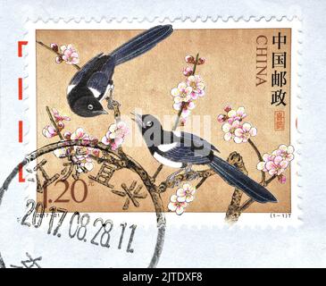 CHINA - UM 2017:Eine in China gedruckte Briefmarke zeigt Elster, um 2017 Stockfoto