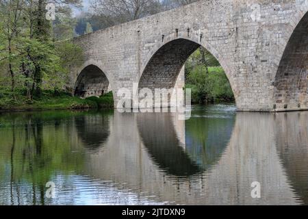 Die Pont de Quezac spiegelt sich im Fluss Tarn, Gorges du Tarn, Causses, Frankreich, EU wider Stockfoto