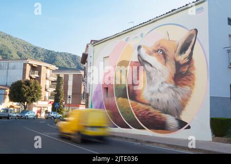 Losar, Spanien - 23.. August 2022: Graffiti verzierte Wand mit einem Fuchs in Losar de la Vera, Caceres, Extremadura, Spanien Stockfoto