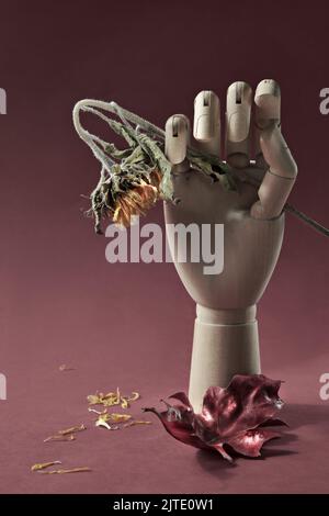 Autumntime Stillleben mit künstlerischen Modell Hand hält trockene Sonnenblume. Matt beige Hintergrund mit trockenen Blütenblättern und bemalten Herbst Eichenblatt. Saisonaler Herbst Stockfoto