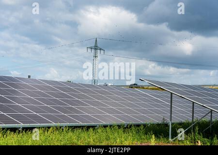 Fotovultaikanlage zum erzeugung, von grünem Strom auf einem Feld in Schleswig-Holstein Stockfoto