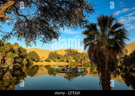 Huacachina - eine Oase mitten in der peruanischen Wüste, Blick auf Palmen und eine Lagune mit Booten und Sanddünen im Hintergrund. Stockfoto