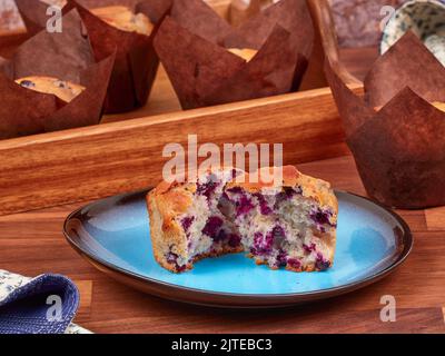 Ricotta und Blaubeermuffin auf einem blauen Teller Stockfoto