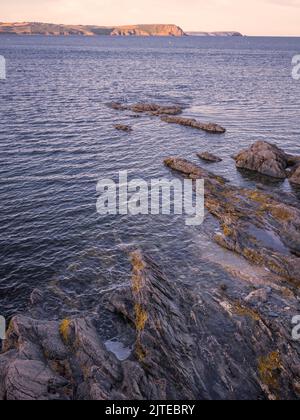 Blick auf Shoreline am Hafen von Portscatho, Cornwall, Großbritannien Stockfoto