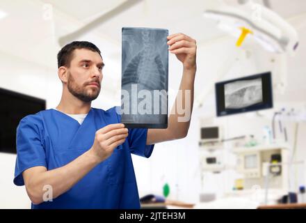 Tierarzt mit Röntgenaufnahme des Tieres in der Tierarztklinik Stockfoto