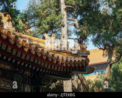 Der Kaiserliche Garten im Sommerpalast ist ein riesiges Ensemble von Seen, Gärten und Palästen in Peking. Es war ein kaiserlicher Garten in der Qing-Dynastie Stockfoto