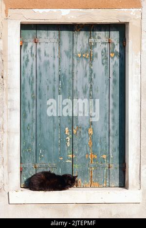 Schwarze Katze, die in einem alten Fensterrahmen liegt Stockfoto